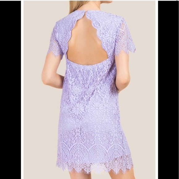 Lavender lace dress with cut out back - Picture 2 of 3